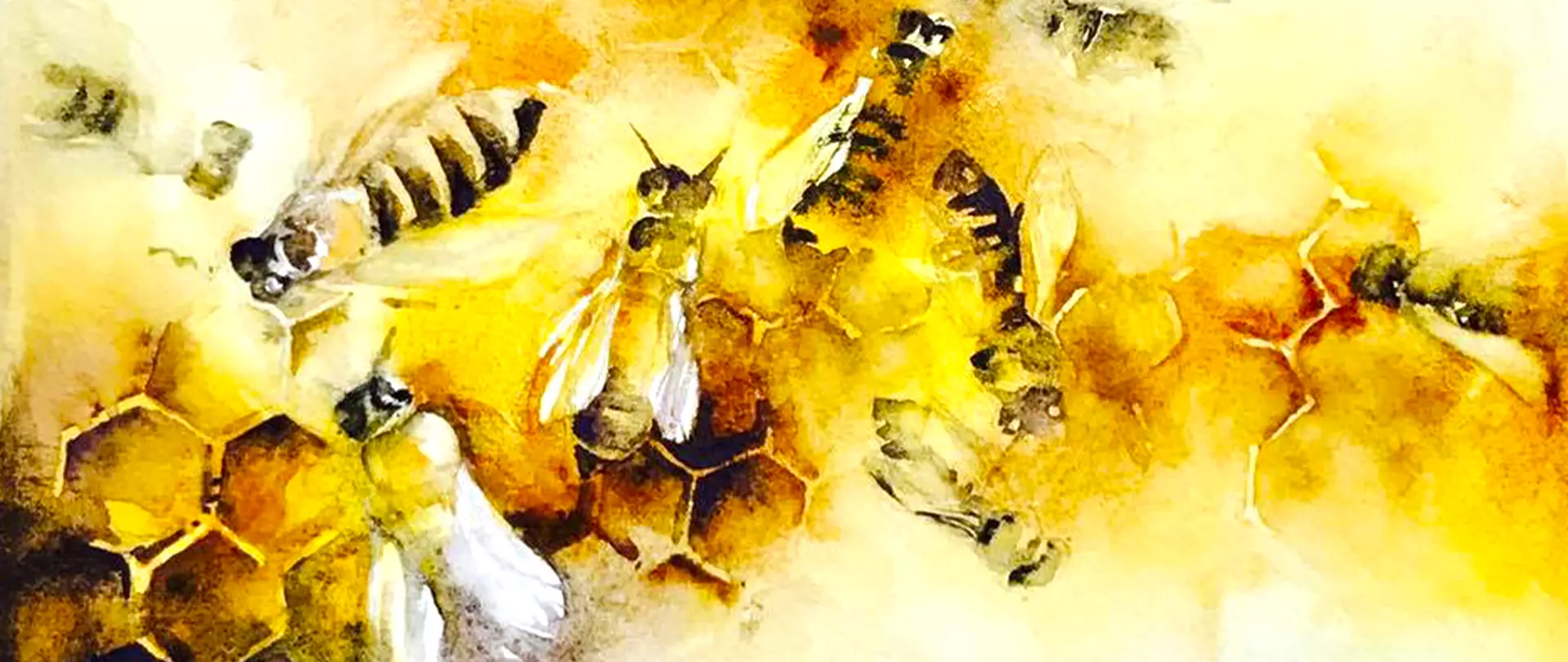 aquarell waben bienen bienenwaben