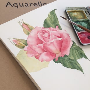 Eine aquarellierte Rose