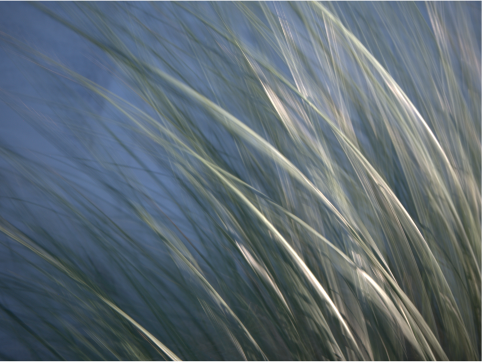 Weitere Bilder von Hille Groothues aus dem Kurs malerische Landschaftsfotografie