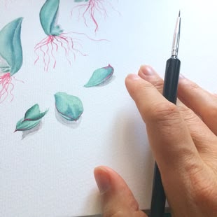 Ein Aquarellbild zum Thema "Botanical Art"